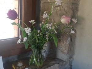 SEGARATI RELAX la Romantica