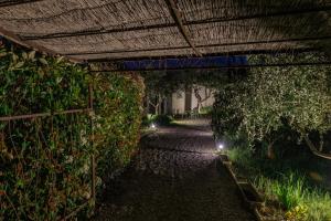 B&B / Chambres d'hotes La Bastide du Murier : photos des chambres