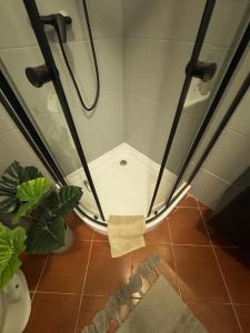 Hoza Apartament Studio w Centrum Warszawy