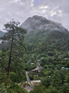 Jibhi Valley stays
