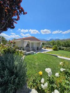 Ornament: Infinite Nature Villa