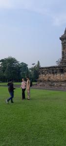 Driver tour Borobudur, Rice Terace & hiden scared waterfall