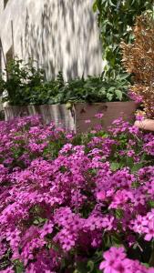 Studio indépendant avec piscine proche Lourmarin