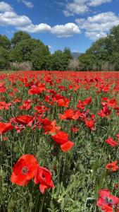 Studio indépendant avec piscine proche Lourmarin
