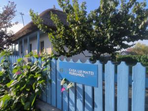 Casa lui Matei Murighiol