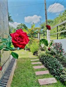 Queen Isabel Private Villa and Events Place