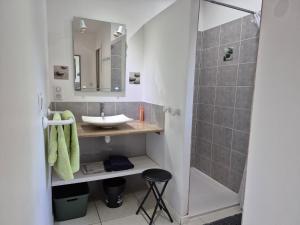Maisons de vacances Le Clos du Grand Chene - gites 4 etoiles - : Maison 1 Chambre