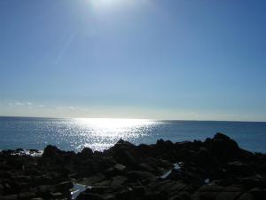 Appartement rénové 1 chambre ,rez de jardin,belle terrasse,proche plages,Carnac 2025-00427