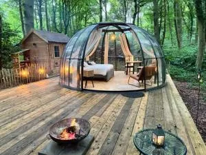 Le Dôme de Namur - Une nuit insolite dans les bois - Winée