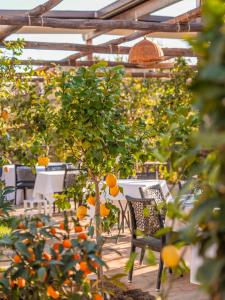 Boutique Hotel Casa Mariantonia