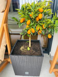 Apartment FORTUNELLA