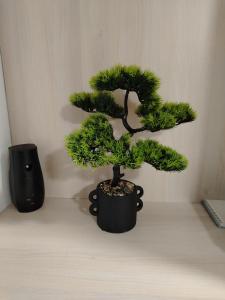 Studio Jovana Stan na dan Kikinda