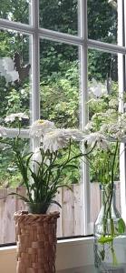 Ferienwohnung Greetje