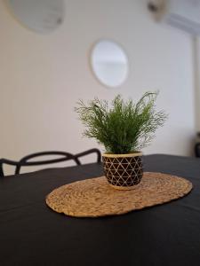 Executive level apartment in the heart of NQN