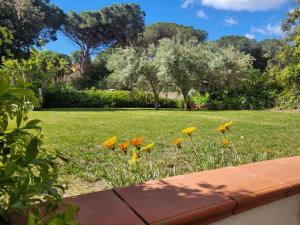 Villa La Conchiglia Rooms img61