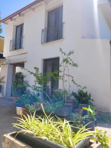 Villa La Conchiglia Rooms img62