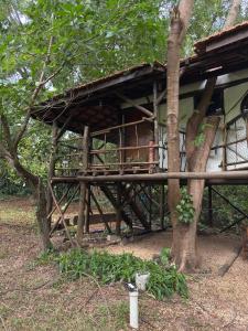 Ecocentro Brasil - Bangalô Flamboyant