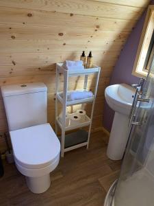 Dingle Wild - Luxury Pod