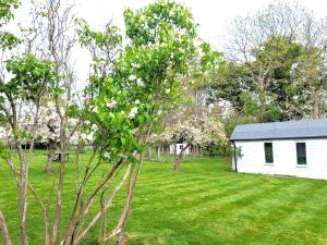 Cosy Cottage with Large Garden I Semi Rural Retreat! Nearby Countryside, Beaches & Goodwood - Chichester Holiday Properties
