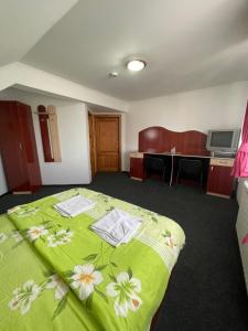 Pensiunea Lotus Baile 1 Mai