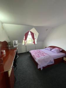 Pensiunea Lotus Baile 1 Mai