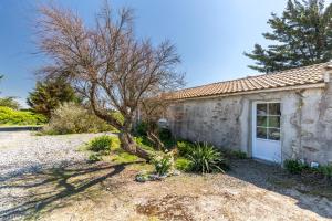 L’Échappée du Port - Grand Jardin