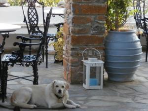 Galini Bungalows Tinos Greece