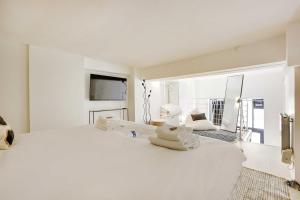 Duplex Cosy Canal Saint Martin