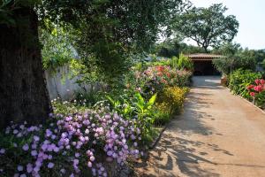 Contemporary Corfu Retreat 3 Bedrooms Villa Girasole Artful Decor Lush Garden Tranquil Setting