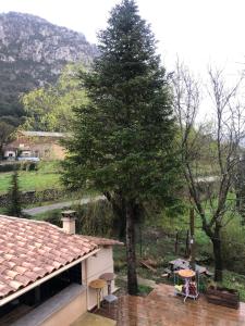 B&B / Chambres d'hotes Auberge De La Vallee : Chambre Triple