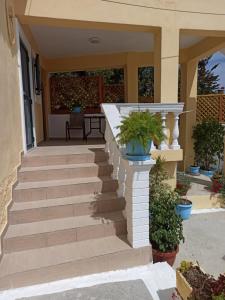 Dimitris House Petriti