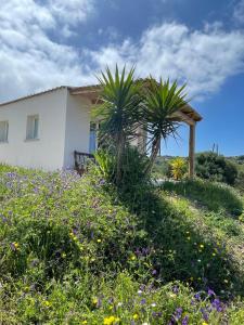 Isola Rossa Appartamenti Paduledda img27