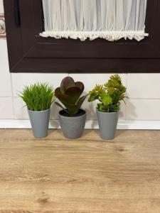 BUIZA SETAS Apartment