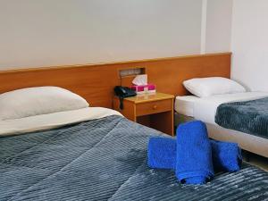 Single Room room in Denis Hotel