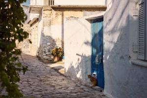 Muazzo Historic Residence, in the Village Core, By ThinkVilla