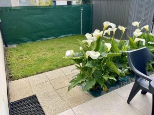Appartements Etel - T3 lumineux avec Wifi et parking, proche plages - FR-1-479-173 : photos des chambres