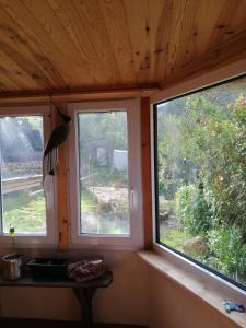 La Succulente Vivace