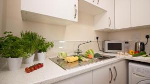 Castle Point Apartments Southampton Premier Lodge