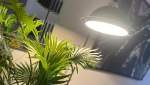 De Parys Premier Lodge 3 in Bedford