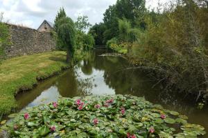 Campings Camping maeva Escapades Le Bois Joli : photos des chambres