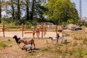 Campings Camping maeva Escapades Le Bois Joli : photos des chambres