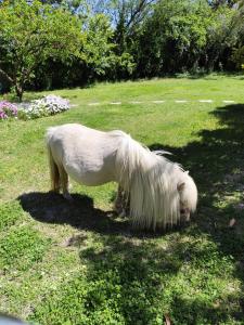 Sejours a la campagne Gite de charme : photos des chambres
