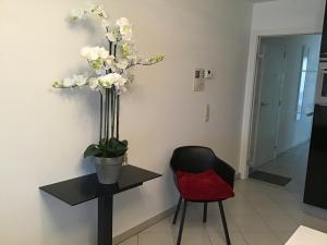 Large 2-bedroom apartment in the heart of Ostend T91