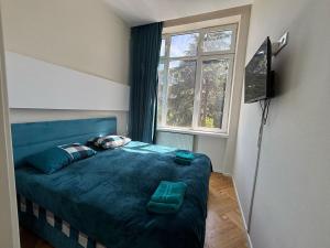 Brightest and Coziest in Vake