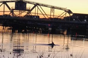 Livin the Dream at 26th Ave N