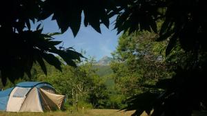 Campings Camping Les Prairies : photos des chambres