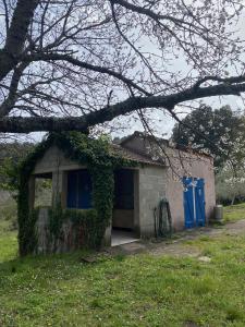Campings Camping Les Prairies : photos des chambres