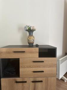 Bright & Comfy Bansko Apartment for 4 Guests & Free Parking