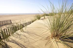 Maisons de vacances Maison cosy entre mer et Briere : photos des chambres