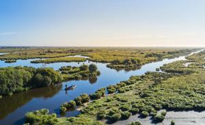 Maisons de vacances Maison cosy entre mer et Briere : photos des chambres